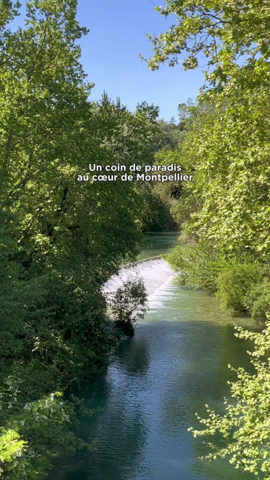Post 6 by Montpellier Tourisme on TikTok (video)
