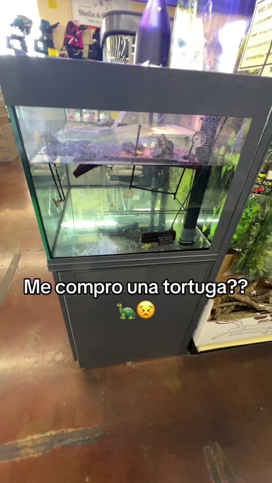 Post 5 by Ochoa🤫 on TikTok (video)