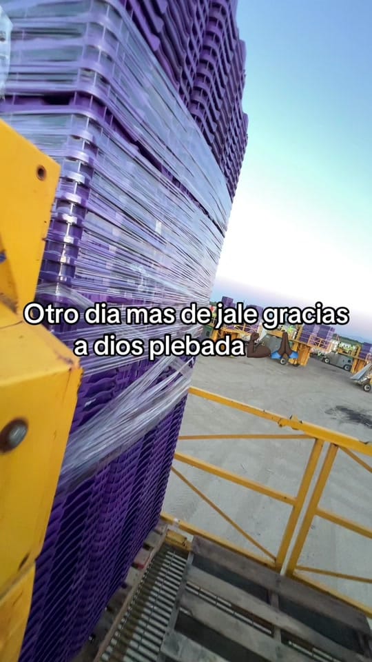 Post 1 by Ochoa🤫 on TikTok (video)