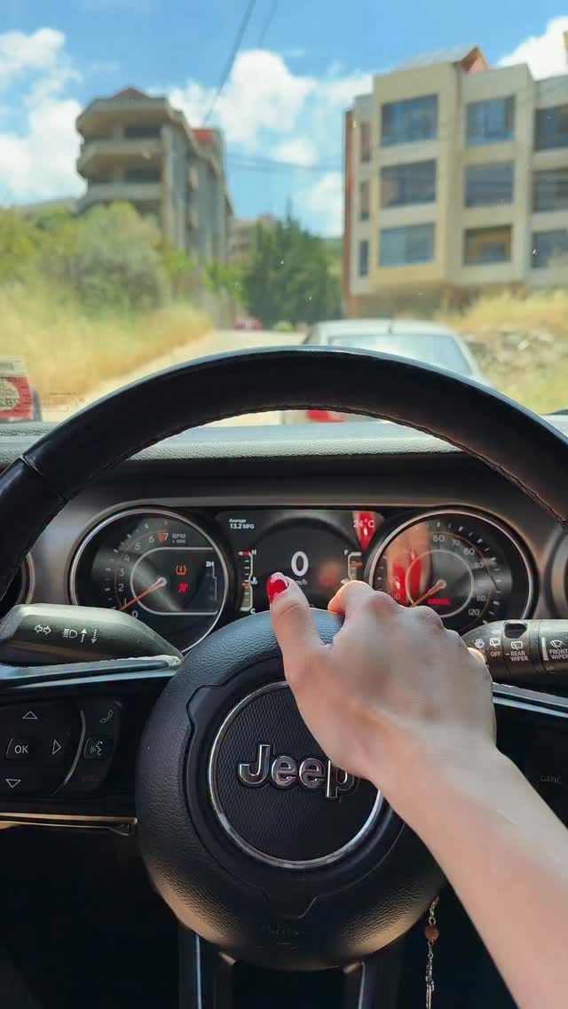 Post 6 by Peter koundakjian on Instagram (video)