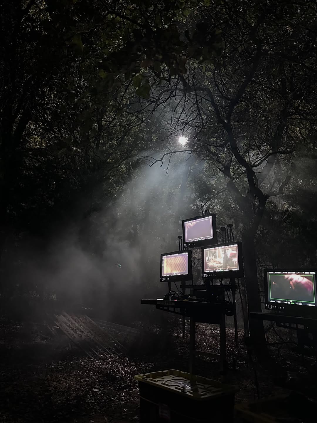 Post 5 by Finn Little on Instagram (image)