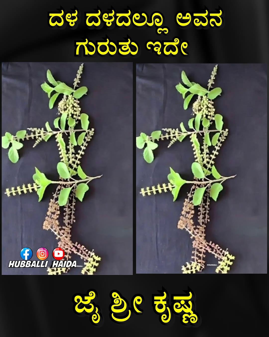 Post 6 by Hubballi Haida on Instagram (image)