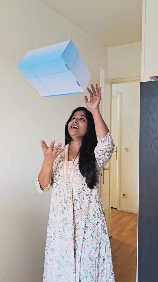 Post 6 by Bavithra_LifeInFrance on TikTok (video)