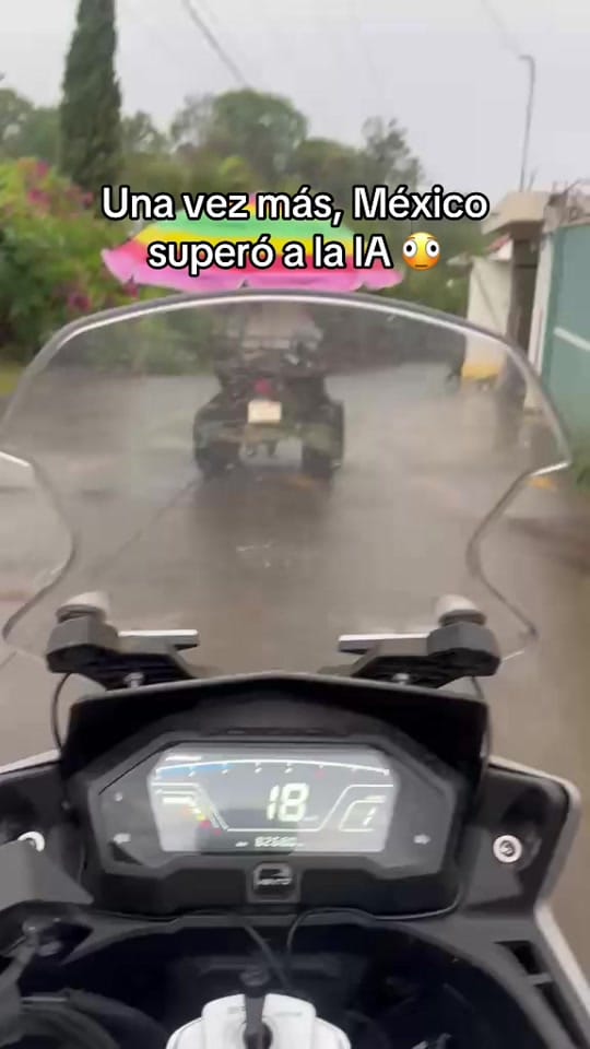 Post 5 by fanny.santoyo on TikTok (video)