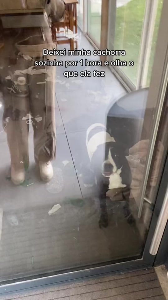 Post 3 by Ester Melo 🇫🇷 on TikTok (video)