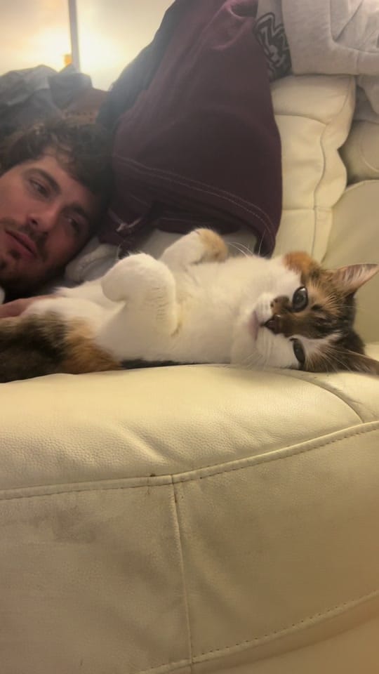Post 5 by Anastasia on TikTok (video)