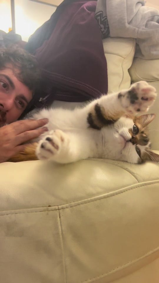 Post 6 by Anastasia on TikTok (video)