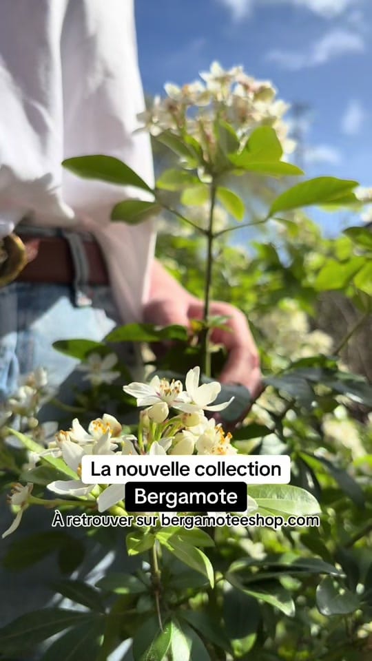 Post 4 by Bonnes Adresses Rouen on TikTok (video)