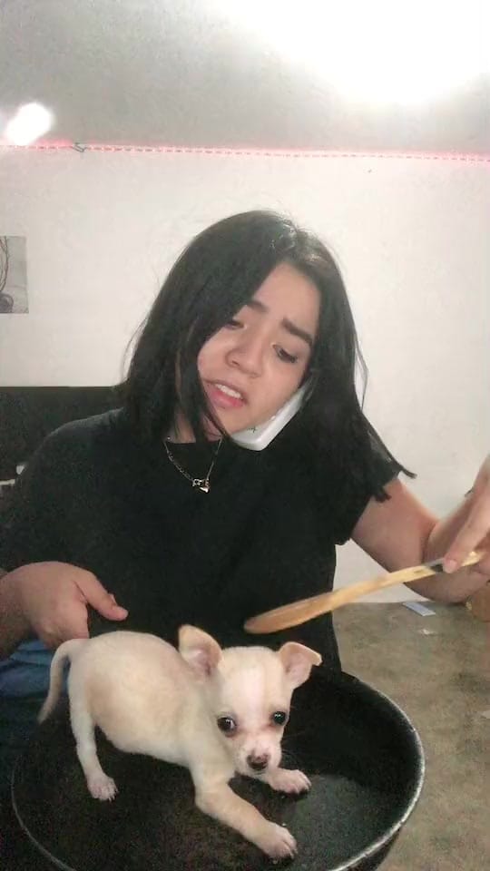 Post 5 by 𝐃𝐚𝐲 𝐂𝐚𝐥𝐥𝐞𝐣𝐚𝐬🐯 on TikTok (video)
