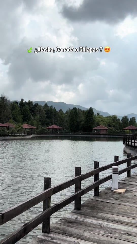 Post 2 by OliRojash13🍉 on TikTok (video)