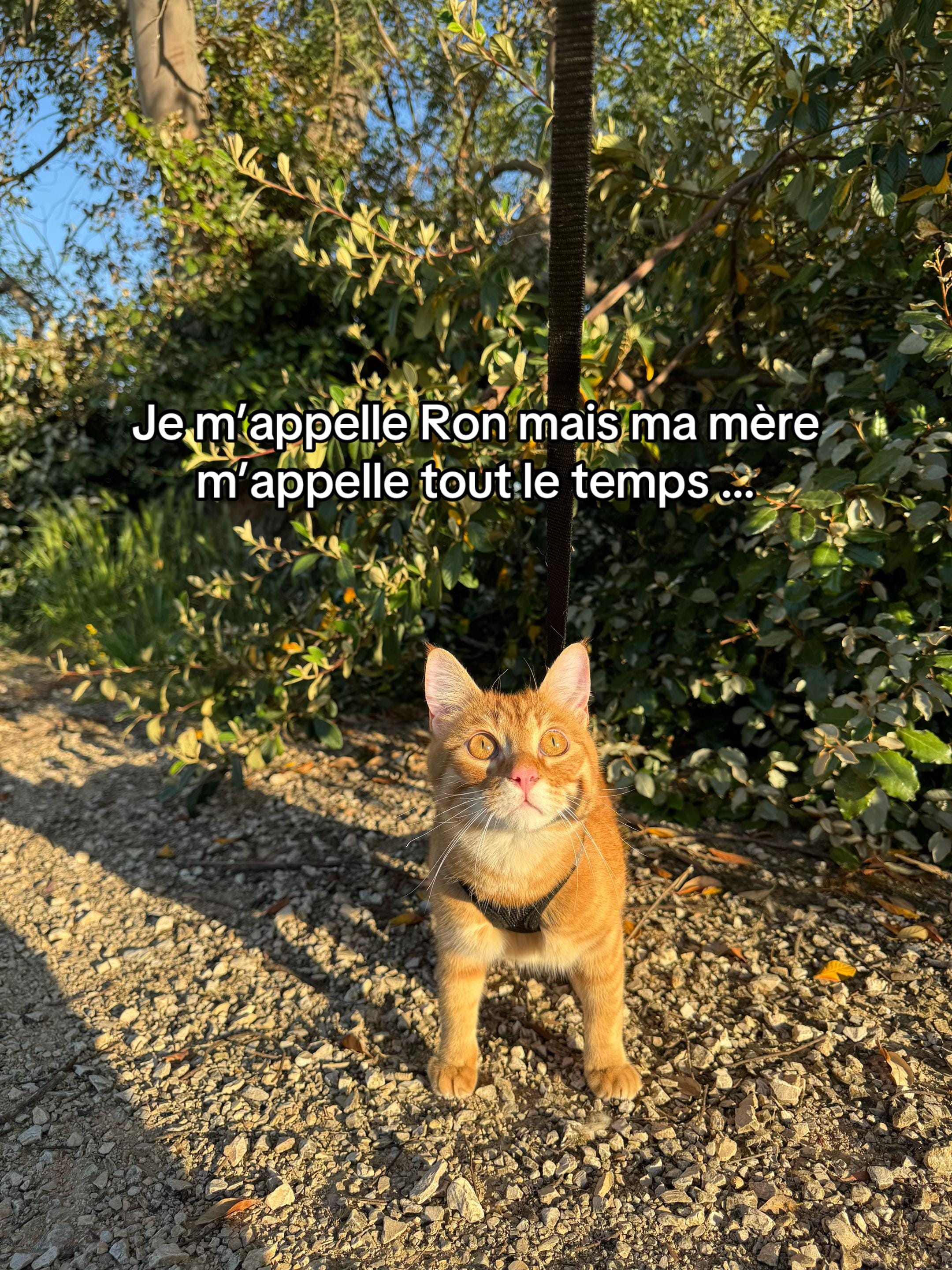 Post 3 by BABETTE on TikTok (video)