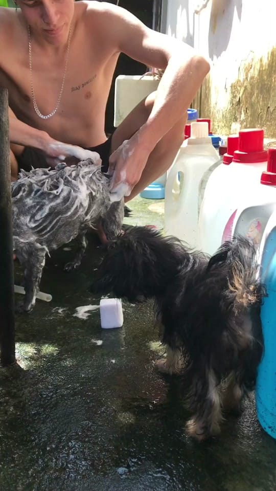 Post 10 by Leonardo Soares on TikTok (video)