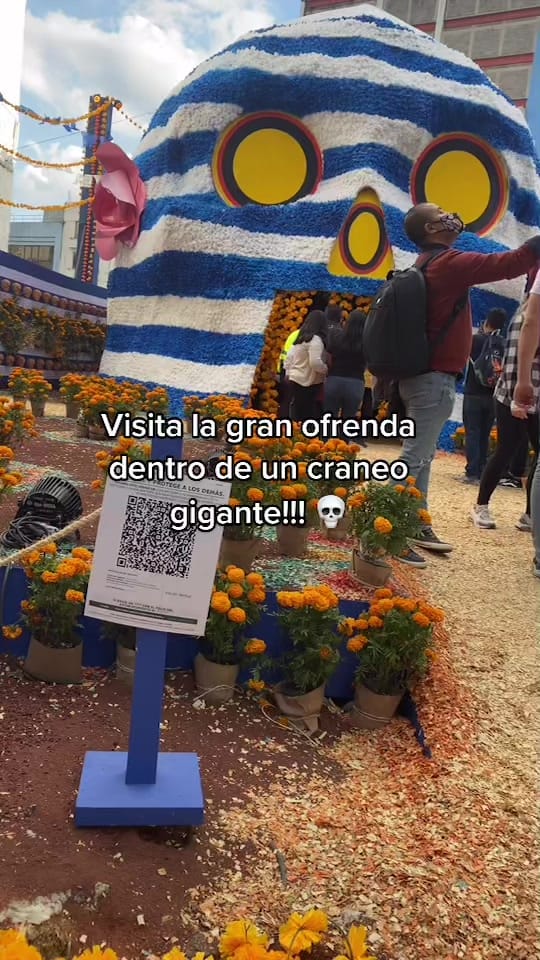 Post 5 by Janeli Morales on TikTok (video)