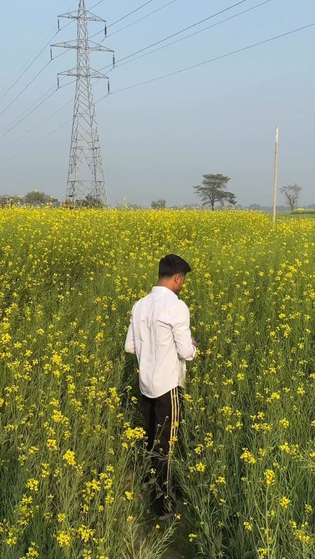 Post 5 by Ammy Rajput 🦅 on Instagram (video)