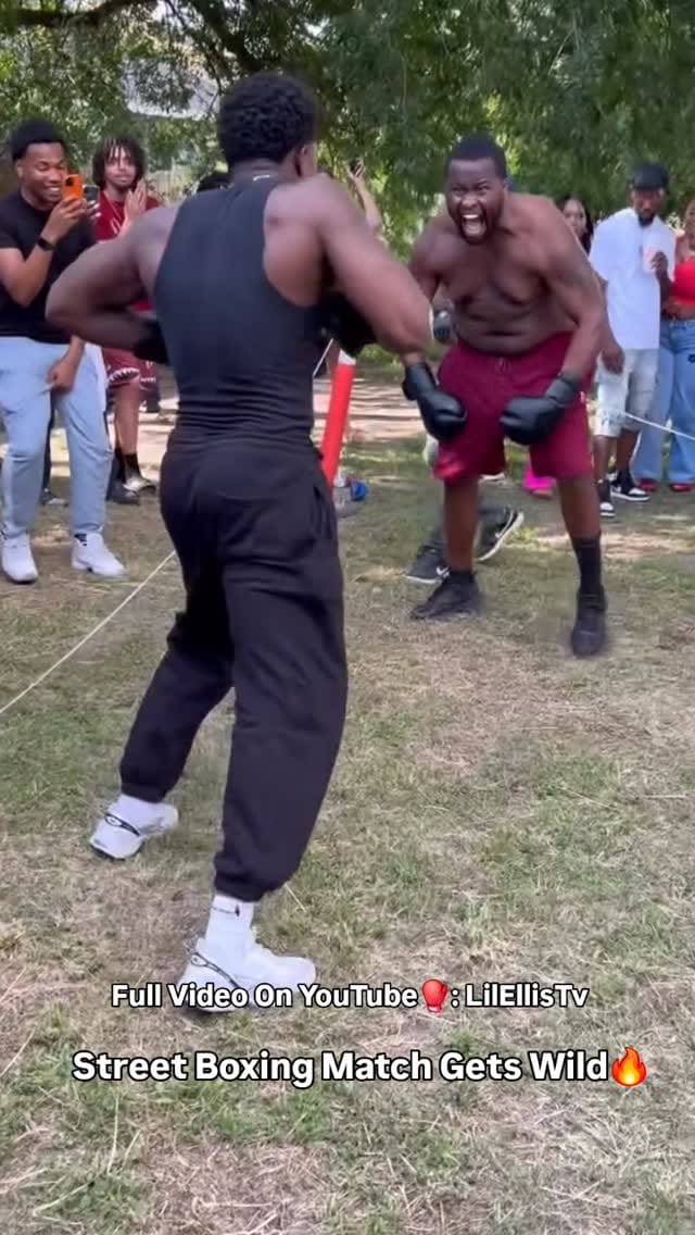 Post 7 by Eli Dave on Instagram (video)