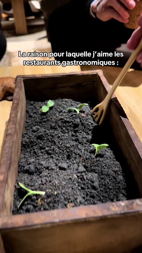 Post 4 by Léa Lise | Just for foodies🍴 on TikTok (video)