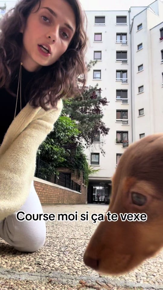 Post 10 by Scotty in Paris on TikTok (video)