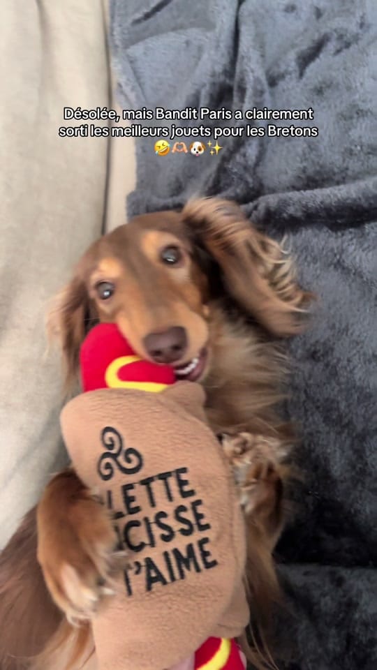 Post 3 by Scotty in Paris on TikTok (video)