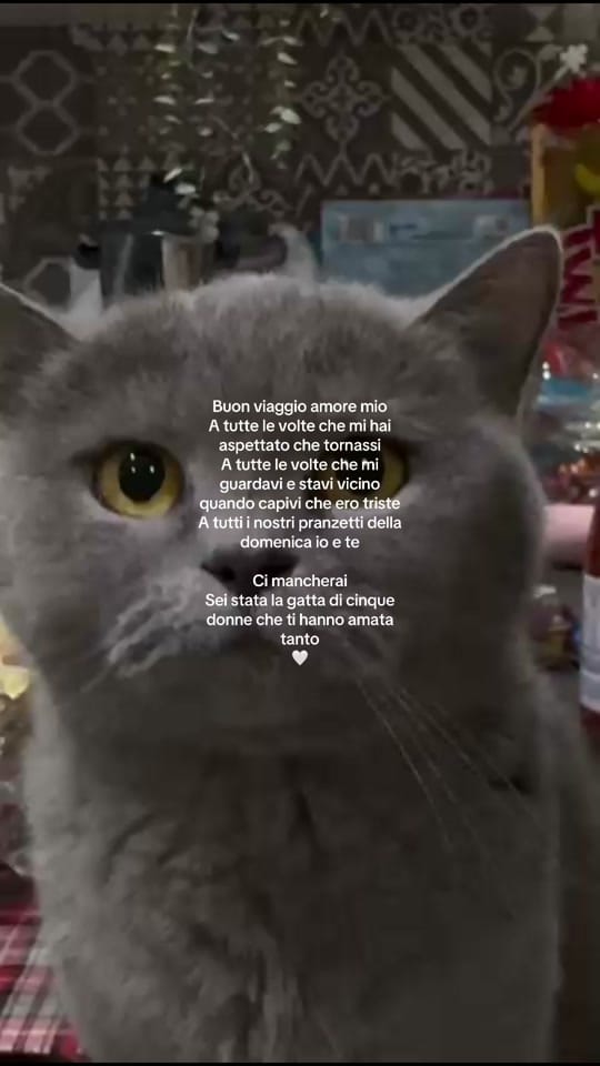 Post 10 by franciktisi on TikTok (video)