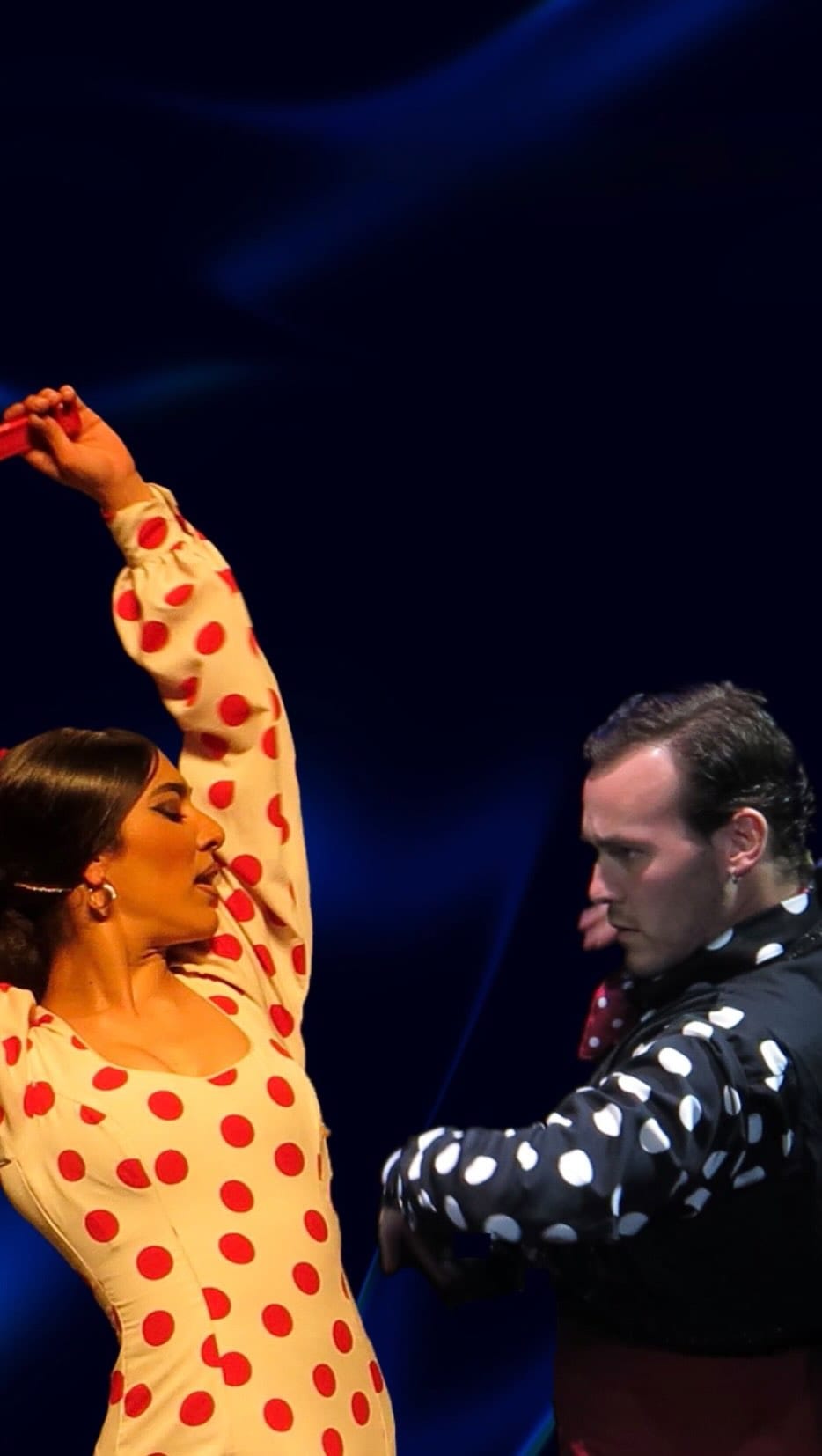 Post 9 by TEATRO FLAMENCO TRIANA on Instagram (video)