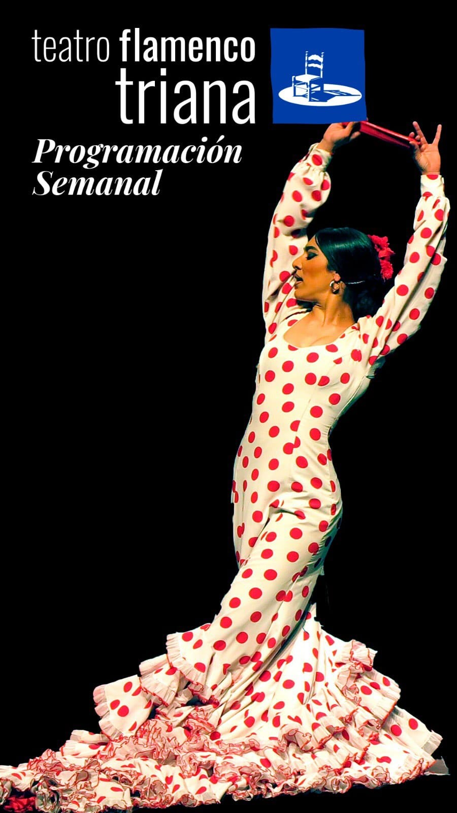 Post 7 by TEATRO FLAMENCO TRIANA on Instagram (video)