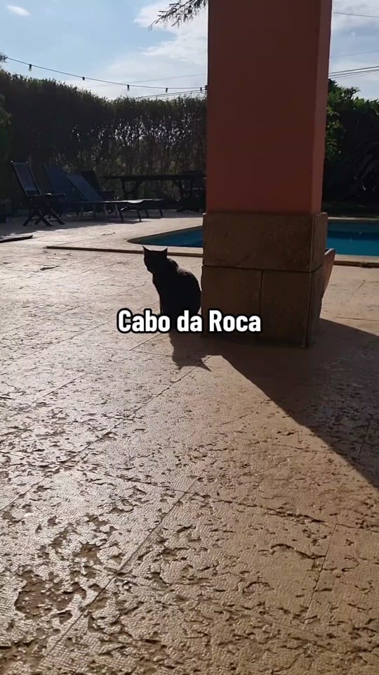 Post 5 by Juliette Flavigny on TikTok (video)