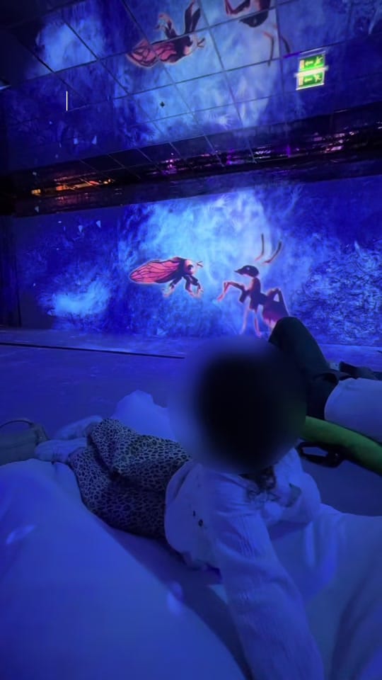 Post 6 by kids.bzh on TikTok (video)