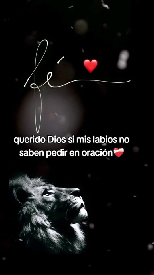 Post 9 by ag.tovilla on TikTok (video)