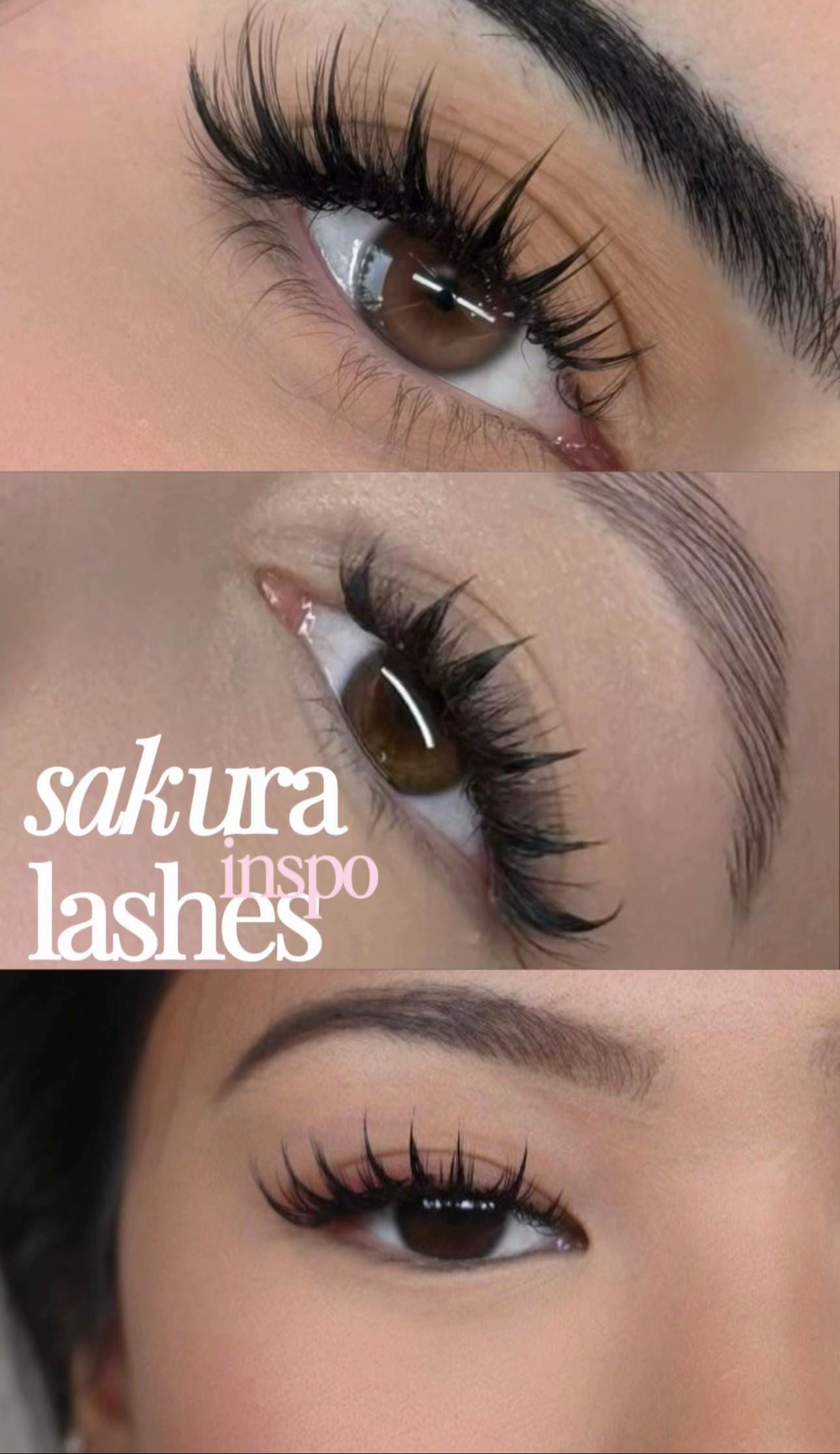 Post 2 by DISTRIBUIDORA BLOOM LASH on TikTok (video)