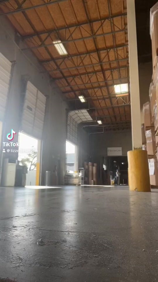 Post 3 by Lizzette Serafin on TikTok (video)