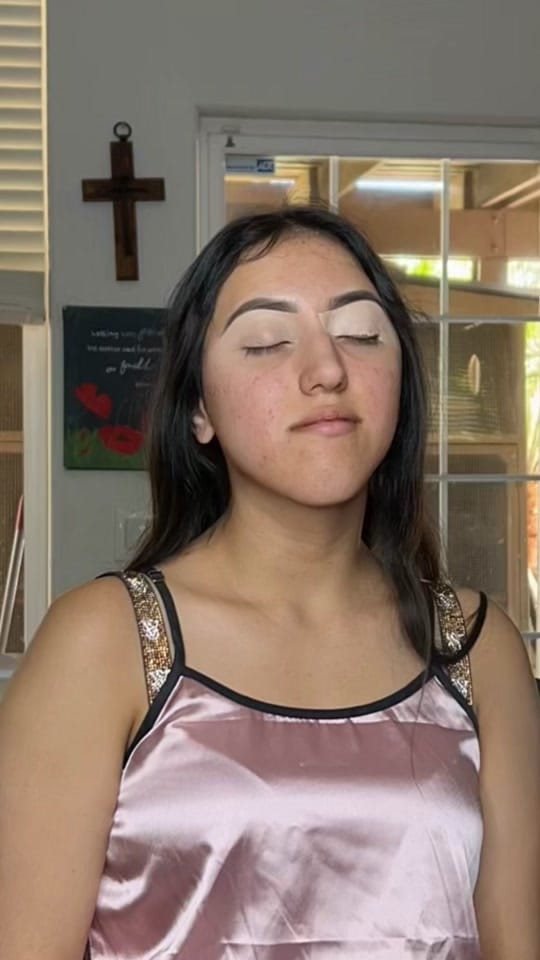 Post 4 by Lizzette Serafin on TikTok (video)