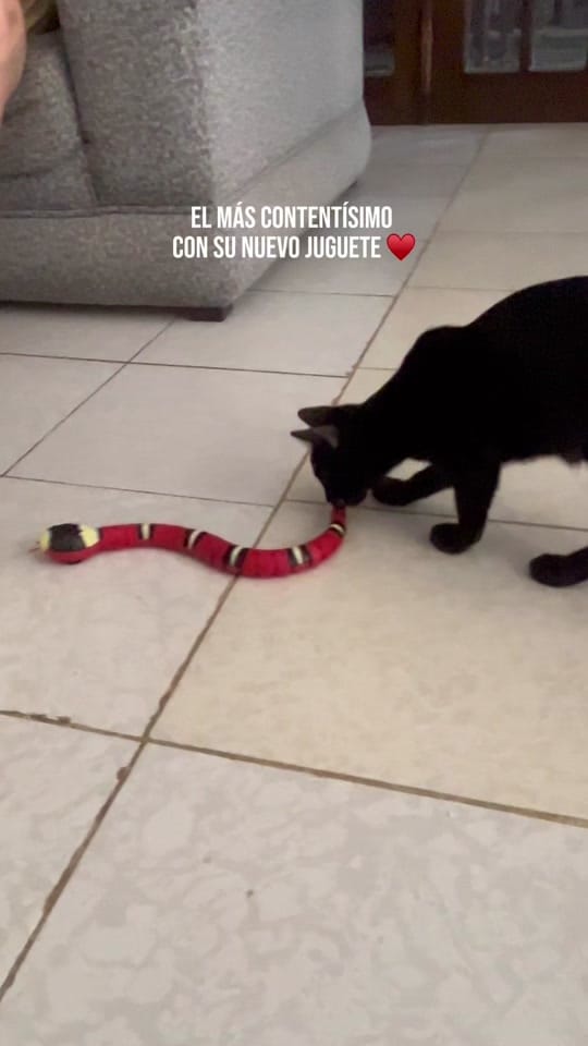 Post 3 by fidita on TikTok (video)