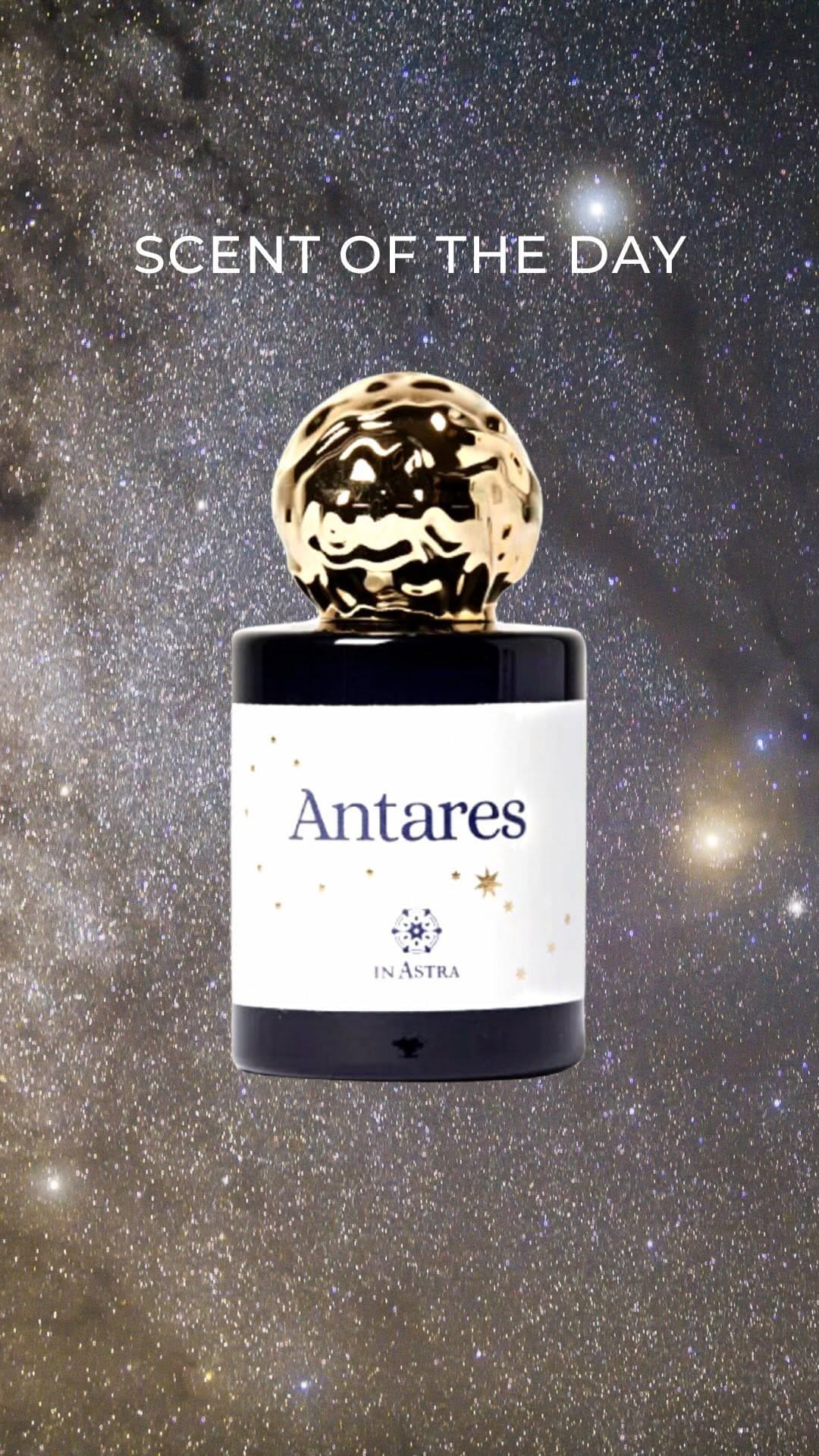 Post 7 by PERFUMIST | Fragrance Finder on Instagram (video)