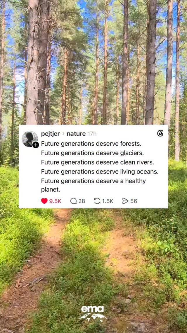 Post 3 by Commons | Sustainable Spending App on Instagram (video)