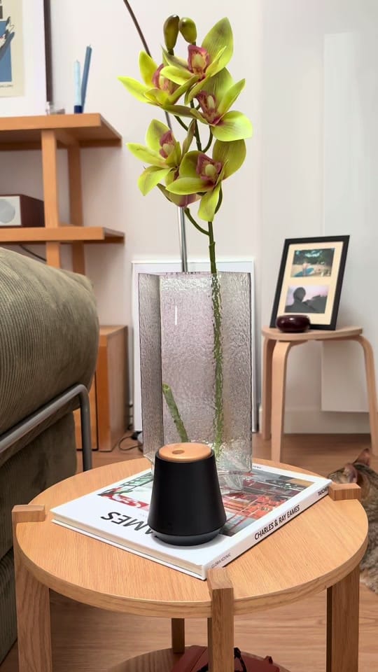 Post 3 by maë 𖦹 on TikTok (video)