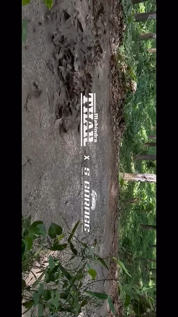 Post 9 by S GARAGE on Instagram (video)
