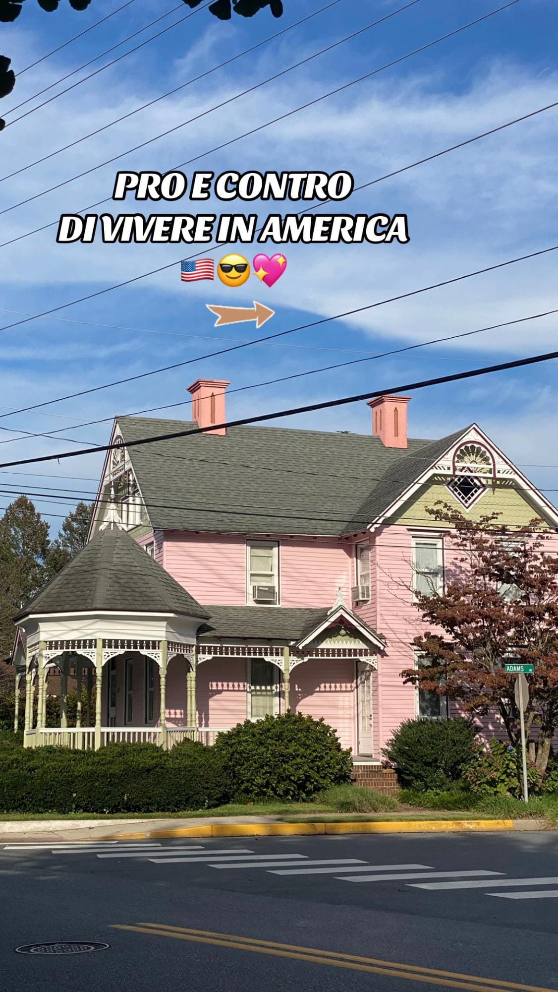 Post 8 by Fran in the USA 🇮🇹🇺🇸 on TikTok (video)