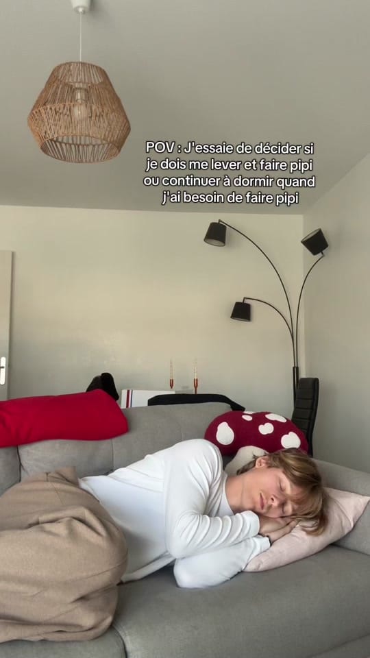 Post 9 by Pierre Chassaing on TikTok (video)