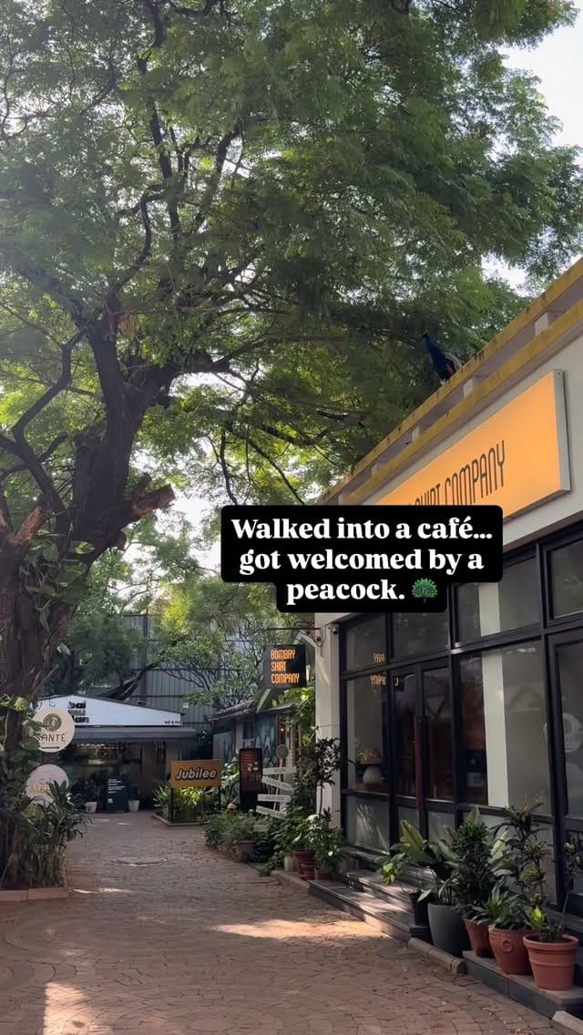 Post 6 by Dr. Tanmay S Kulkarni on Instagram (video)