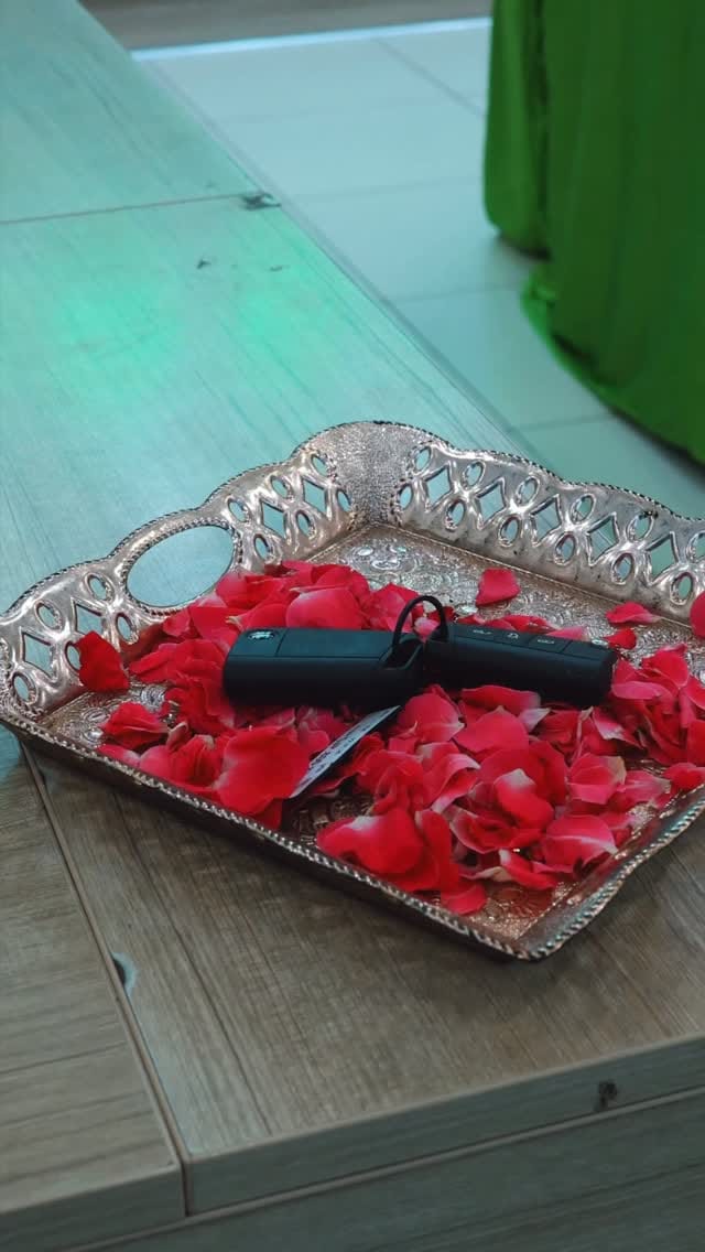 Post 10 by Gurudev Škoda on Instagram (video)