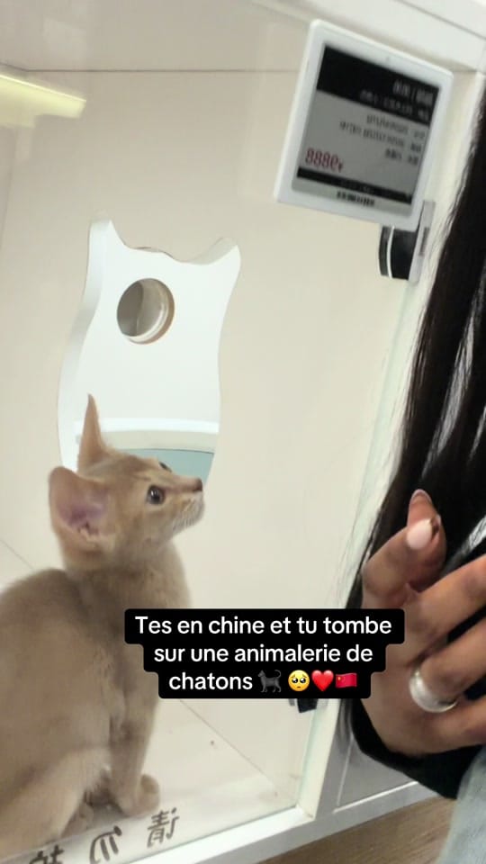 Post 7 by Annasmh_ on TikTok (video)