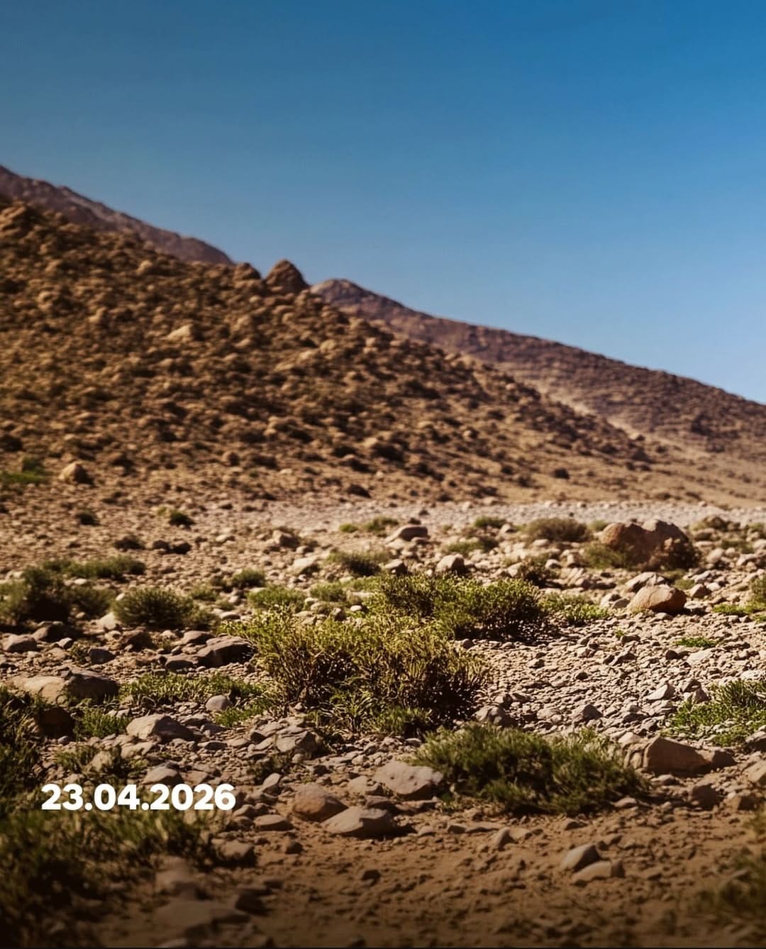 Post 8 by BMW Krishna Motorrad on Instagram (image)