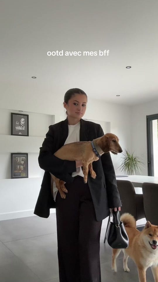 Post 7 by irina on TikTok (video)