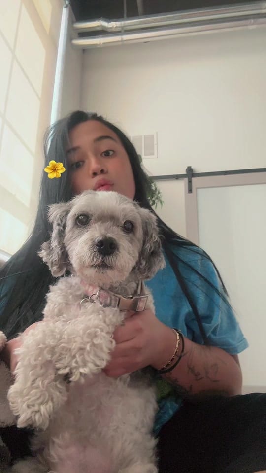 Post 7 by Nani guerrero on TikTok (video)