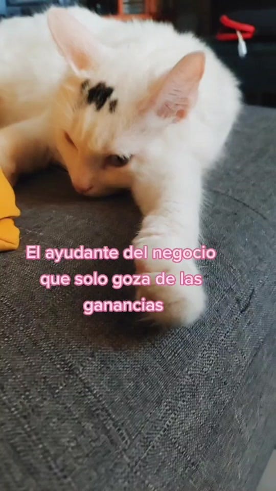 Post 6 by Ixtli by yeye on TikTok (video)
