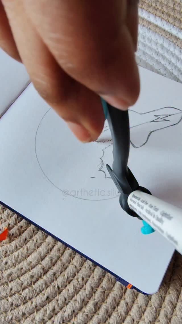 Post 6 by Sanghamitra Sethi on Instagram (video)