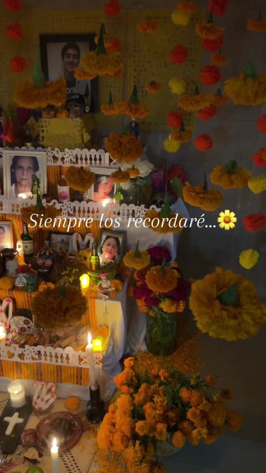 Post 3 by Fernando Rodriguez on TikTok (video)