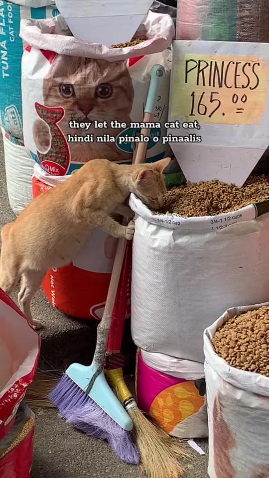 Post 9 by IG: laud_rubis on TikTok (video)