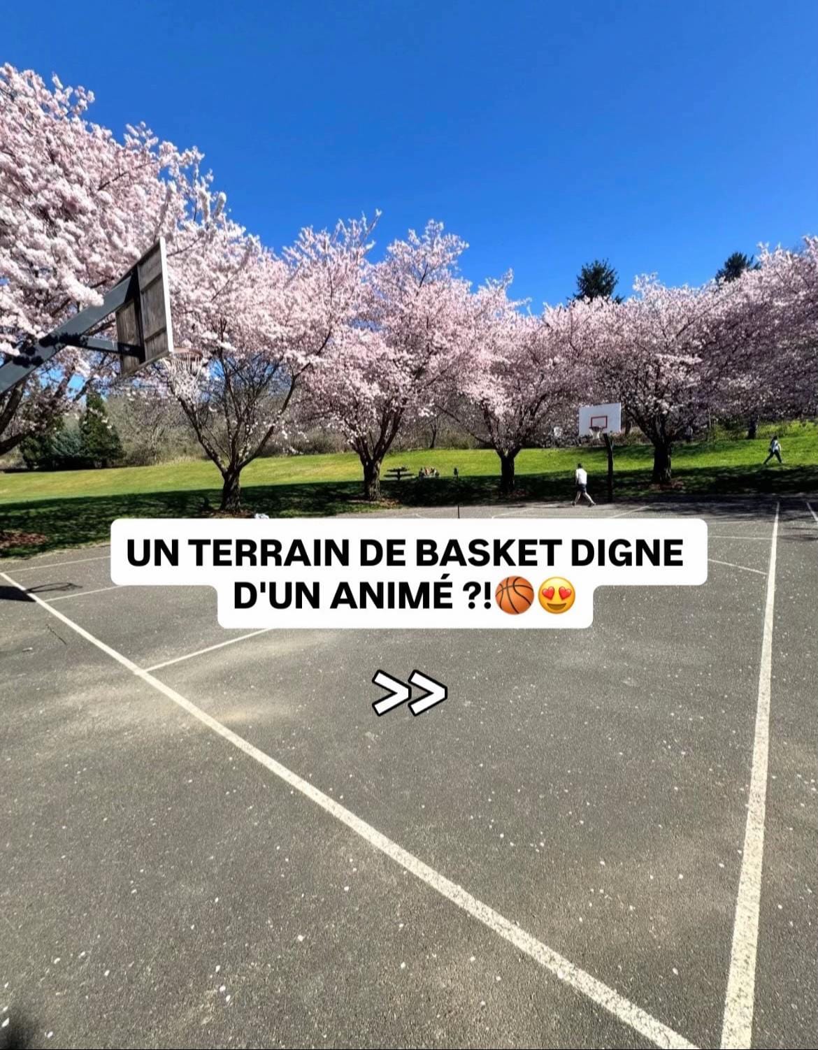 Post 3 by 🏀Ballfieldp on TikTok (video)