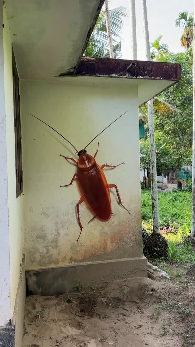 Post 4 by Rashid Sulaiman | Mural & Wall Artist India on Instagram (video)
